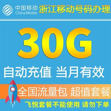 浙江移动流量共享30G 全国流量包 手机套餐包充值包2G/3G/4G叠加包 