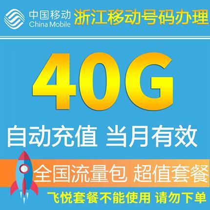 浙江移动流量共享40G 全国流量包 手机套餐包充值包2G/3G/4G叠加包 